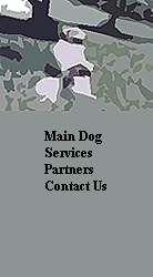 Main Dog
Services
Partners
Contact Us




